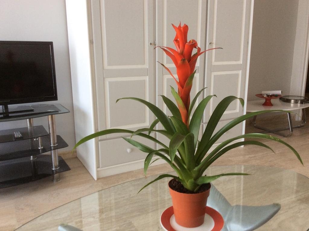 Appartement Dolce Vita Cagnes-sur-Mer Room photo